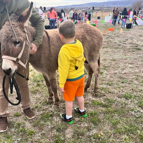 Meet your Posher Oliver - Picture 9 of 9